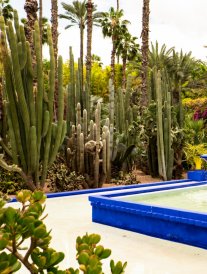 Jardin Majorelle : l'histoire du paradis bleu d'Yves Saint Laurent