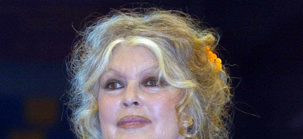 Brigitte Bardot "seule" face à la souffrance animale : son cri d'alarme