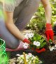 10 astuces pour favoriser la biodiversité dans son jardin