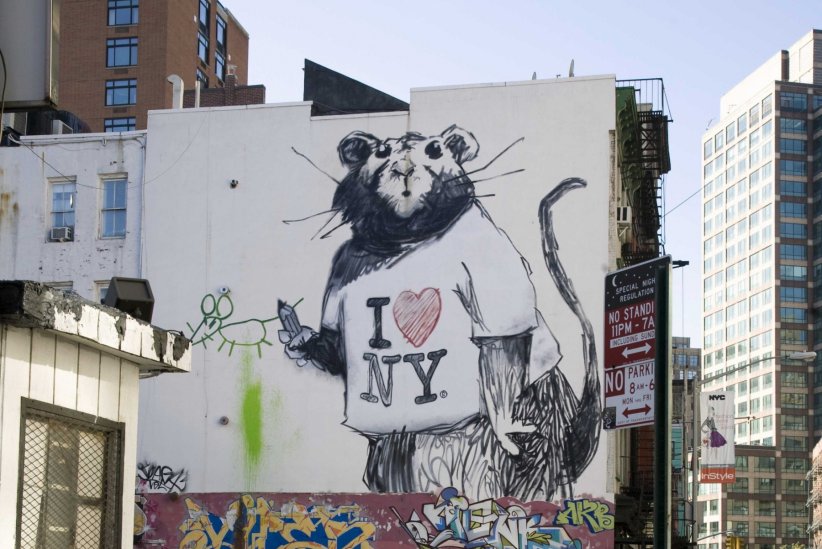 Loin des galeries et des lieux institutionnels, les artistes transforment les espaces publics en musée à ciel ouvert.  Un rat géant signé de l'artiste Banksy, immortalisé sur un mur de New York le 11 October 2008. 