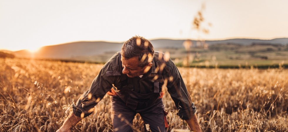 Qui sont les agriculteurs français d'aujourd'hui ?