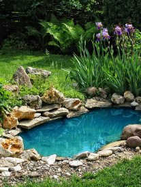 Petit jardin ou terrasse : comment aménager un coin d'eau ?