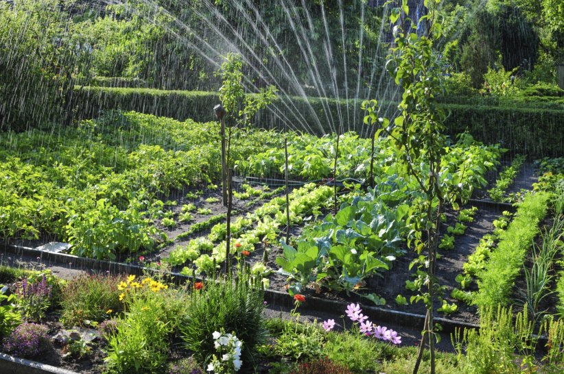 Les systèmes d'arrosage connectés font réaliser des économies d'eau dans le jardin.