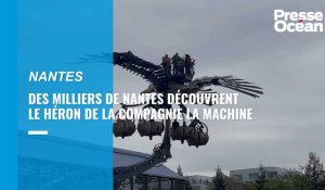 Des milliers de Nantais découvrent le héron de la compagnie la Machine 