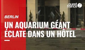 VIDÉO. Berlin : un aquarium géant contenant 1500 poissons tropicaux éclate dans un hôtel
