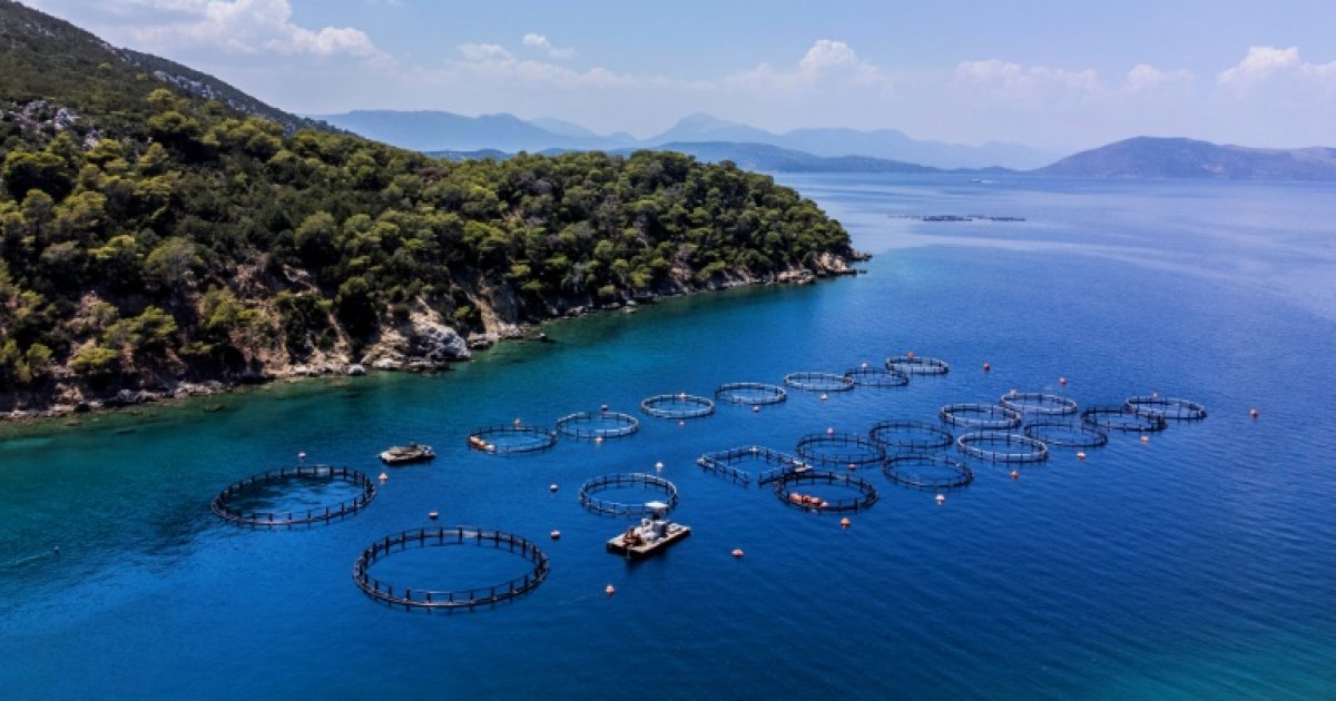 L'aquaculture dans le monde dépasse pour la première fois la pêche, selon la FAO