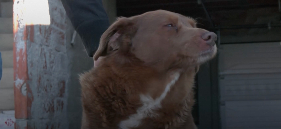 2275%2Factu%2Fmagic-articles-6medias%2Fe