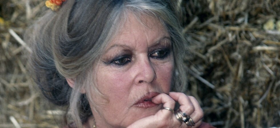 Quel est l'imbécile qui a lancé cette fake news ?" : Brigitte Bardot répond  aux rumeurs de son décès : Actualités - Orange