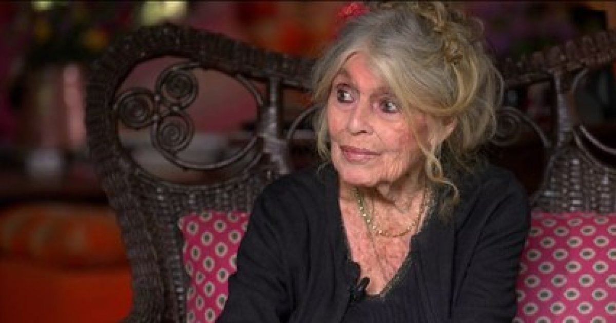 Cinéma, défense des animaux: découvrez en exclusivité l'interview de  Brigitte Bardot sur BFMTV ce lundi
