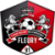 Fleury 91