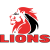 Lions URC