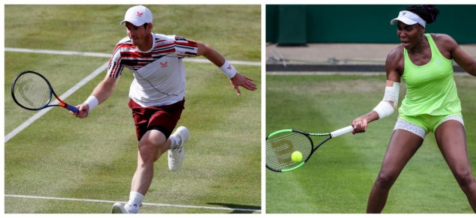 Wimbledon : Andy Murray et Venus Williams reçoivent une wild-card