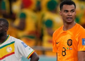 Manchester United devra débourser une fortune pour Gakpo