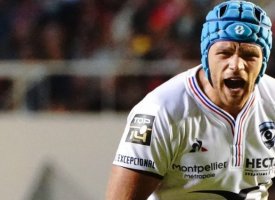 Top 14/Pro D2 - Nuit du Rugby : Montpellier, Mont-de-Marsan, Dupont et Sansus récompensés