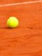 Pourquoi joue-t-on sur terre battue à Roland-Garros ?