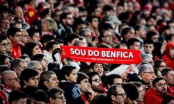 Benfica : Un supporter décède après avoir été poignardé 