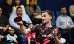 Tennis de table - Classement WTT : Rolland gagne 59 places, les Lebrun au top 