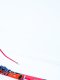 Ski alpin : Sarrazin vers une reprise cet hiver ?