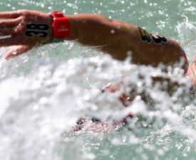 Natation - Championnats du monde (eau libre) : Muller au pied du podium du 10km