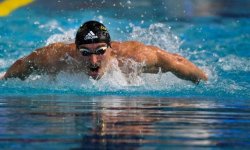 Natation - Chpts de France (H) : Record de France et MPM pour Grousset 