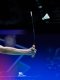 Badminton - Mondiaux : T.J.Popov, Lanier et Delrue-Gicquel qualifiés pour les huitièmes
