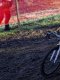 Cyclo-cross : Van der Poel de retour autour de Noël 
