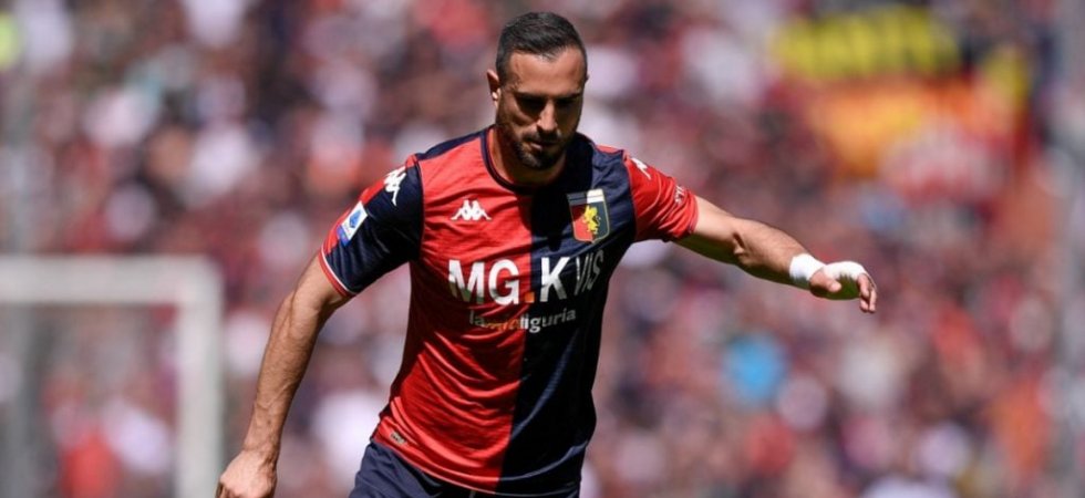 Montpellier : Maksimovic, l'espoir défensif pour sortir de la crise 