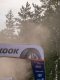 Rallye - WRC - Finlande : Neuville et Fourmaux perdent une place, Ogier sur le podium 