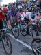 Tour de France (F) : Les téléspectateurs au rendez-vous 