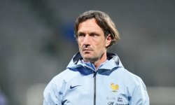 Bleues : Bonadei favori pour succéder à Renard 