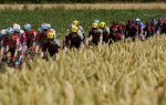 6eme étape : Les puncheurs attendus à Longwy