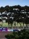 F1 : L'Afrique fait son grand retour au calendrier !