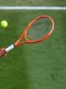 ATP - Halle : Cobolli n'enchaîne pas, Auger-Aliassime va mieux