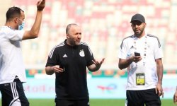 Algérie : Du nouveau pour la succession de Belmadi 