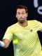 ATP - Adelaïde : Halys ne verra pas les quarts 