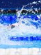 Natation - Championnats d'Europe : Les Bleues terminent quatrième du 4x100m nage libre