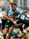 Top 14 (J21) : La Section Paloise confirme à Bayonne, Montpellier dispose de Perpignan