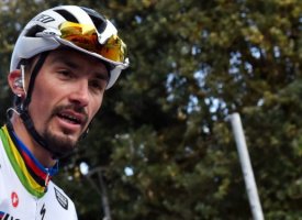 Tour de France 2022 : Alaphilippe espère toujours être présent