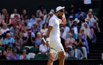 Djokovic dans le collimateur de la Serbie
