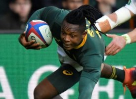Afrique du Sud - Bulls : Le champion du monde Nkosi a été retrouvé
