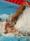 Natation - Mondiaux (H) : Les Bleus ravis d'avoir appliqué leur plan 