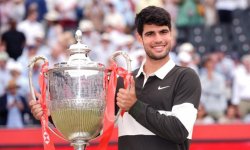 ATP - Queen's : Alcaraz invincible 