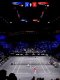 Laver Cup : La 10e édition à Los Angeles