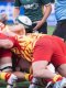 Top 14 : USAP - Montauban, le match de la peur 