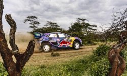 Rallye - WRC - Kenya : Quand Loeb frôle un zèbre et croise une girafe