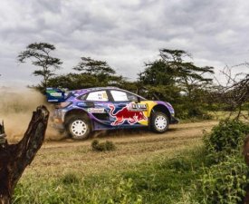 Rallye - WRC - Kenya : Quand Loeb frôle un zèbre et croise une girafe