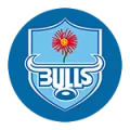 logo Bulls