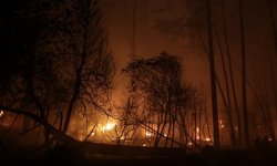 Feux de forêt : 48 personnes soupçonnées d'être à l'origine d'incendies en France cet été