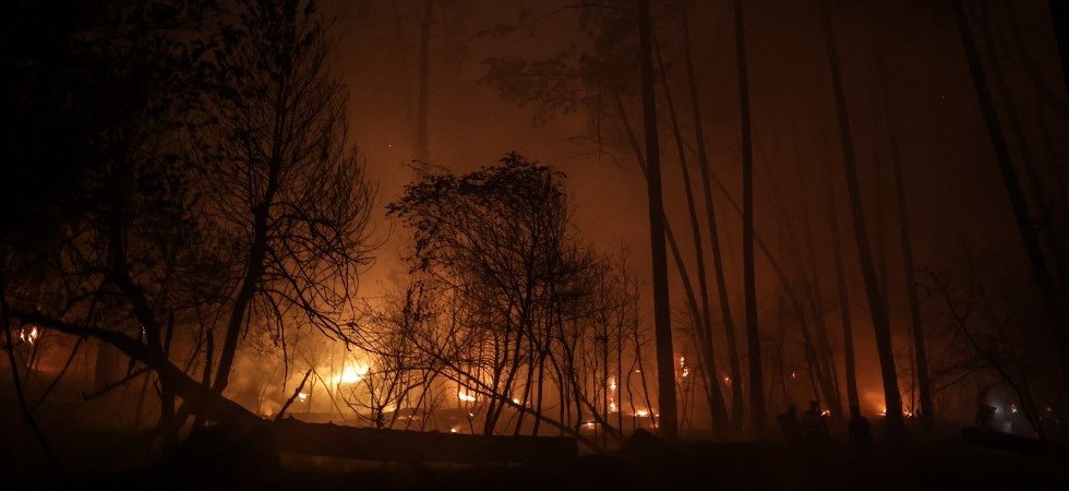 Feux de forêt : 48 personnes soupçonnées d'être à l'origine d'incendies en France cet été
