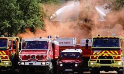 La Gironde ravagée par les incendies dès le printemps ? La crainte des pompiers face à la sécheresse